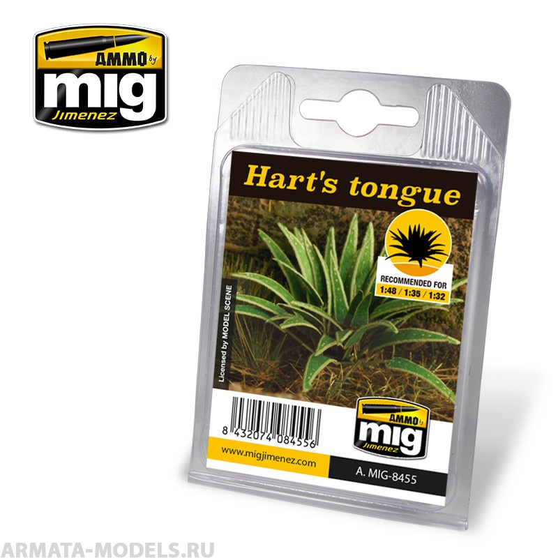 AMIG8455 Producto Листва готовая, натуральная HART'S TONGUE