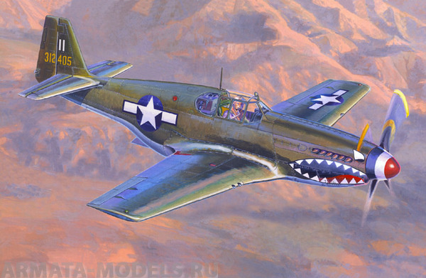 C-46  Самолет P-51 B-1 BullFrog I MISTERCRAFT