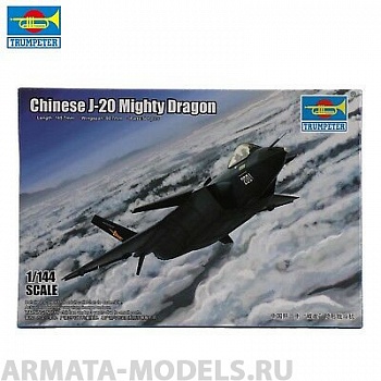 03923P Chinese J-20 Mighty Dragon